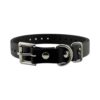 Replacement E-collar Strap