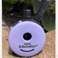 et300 lavender mini educator