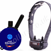MINI EDUCATOR E COLLAR ET-300 - Official UK Retailer - ET-300 Mini Educator Blue