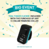 teal-clicker-promo