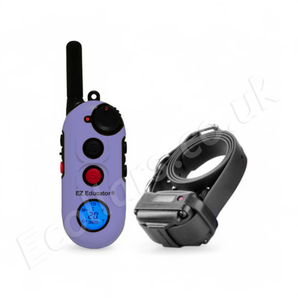 EZ-900-Lavender Easy Educator