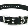 biothane dog collar