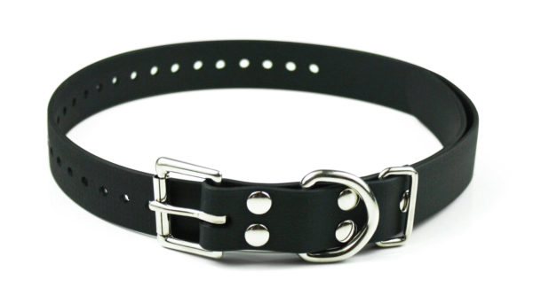 biothane dog collar