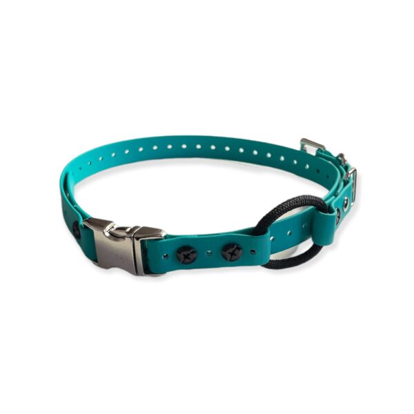 E collar bungee best sale