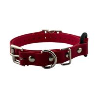 Red-QuickSnap-Bungee-034