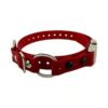 red mini quicksnap bungee colla